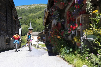 Chamonix Mont Blanc summer with bike