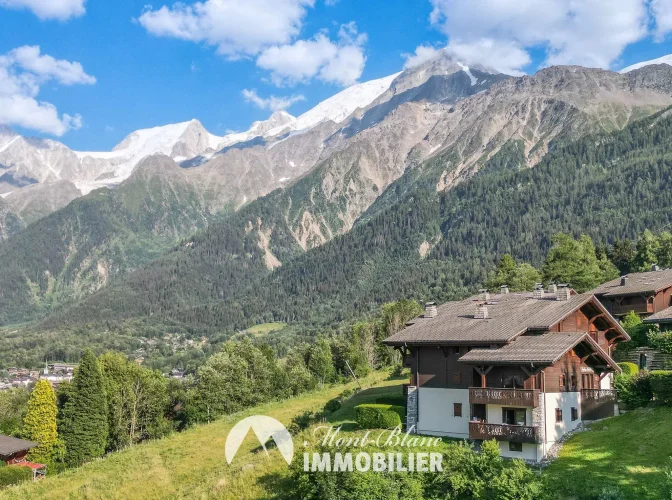 - Photo N°