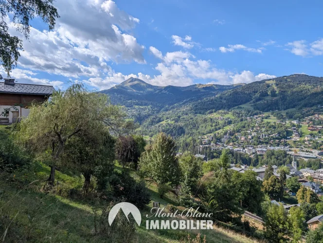  - Photo N°