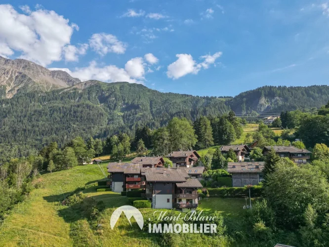 - Photo N°